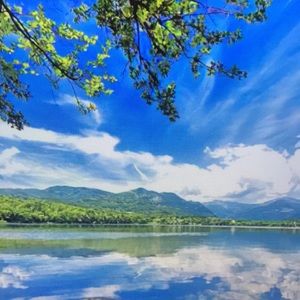 Meet your Posher, Shea